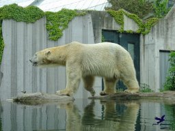 Tiergarten Schönbrunn am 15.05.2025
